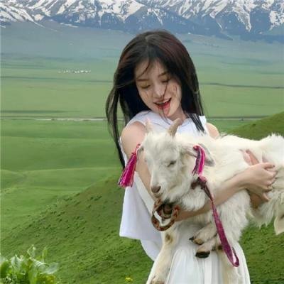 摇破天惊